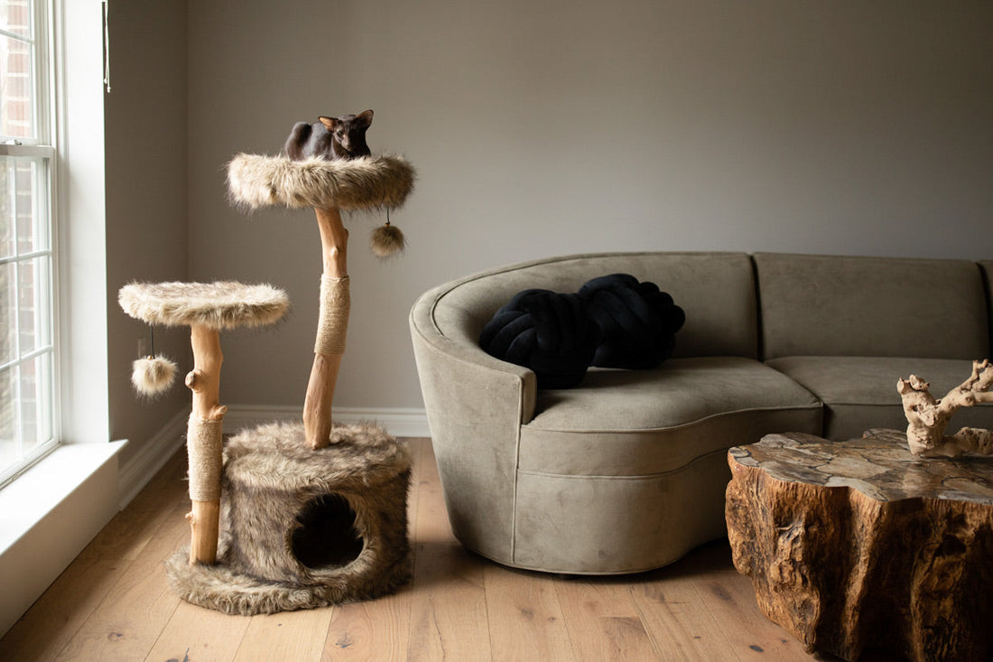 Kaia Cat Tree | Real Wood, Two-Tier Tower with Hideout & Perches