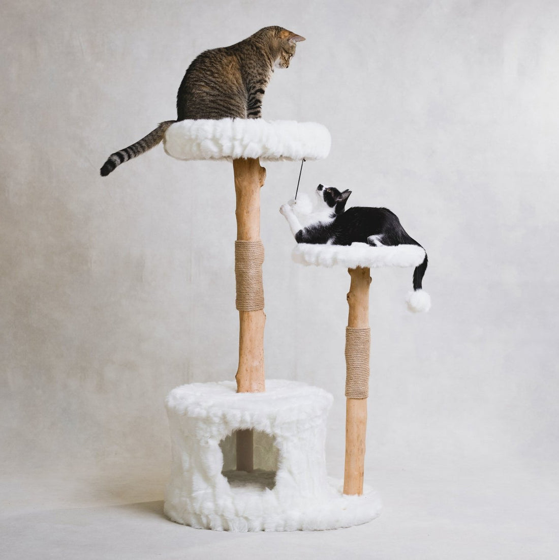 Kaia Cat Tree | Real Wood, Two-Tier Tower with Hideout & Perches