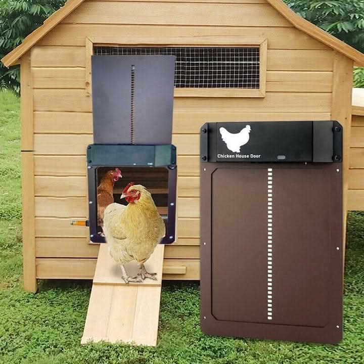 Ottavia | Automatic Chicken Coop Door | Light Sensor, Weatherproof | Easy Install