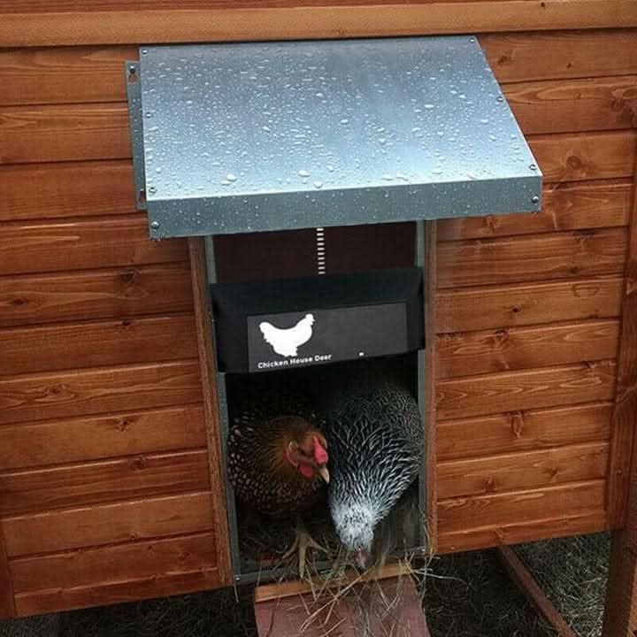 Ottavia | Automatic Chicken Coop Door | Light Sensor, Weatherproof | Easy Install