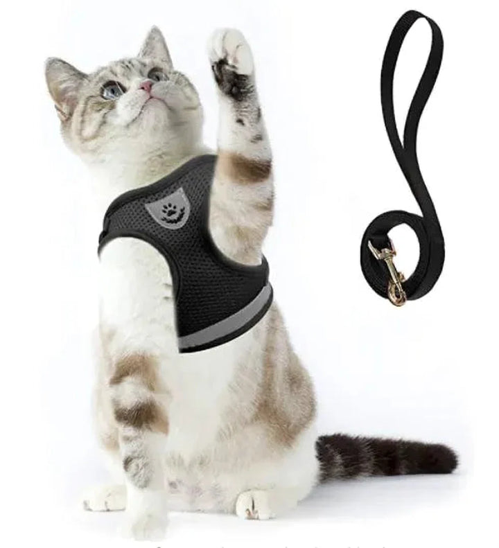 Adventure Kit Cat Harness - Adjustable - Leash Included - Secure Fit
