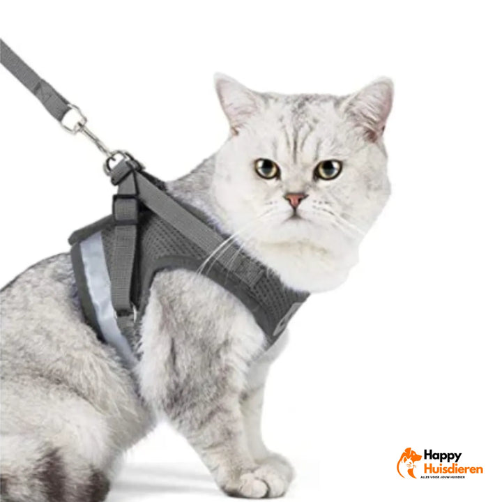 Adventure Kit Cat Harness - Adjustable - Leash Included - Secure Fit