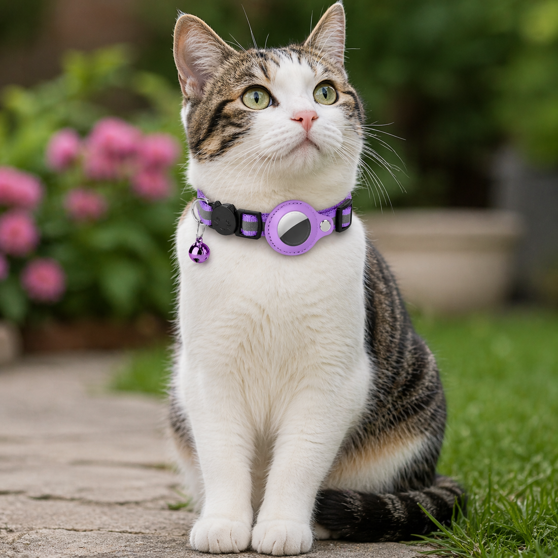 AirTag Cat Collar | Adjustable, Reflective, Bell | Tracker Holder