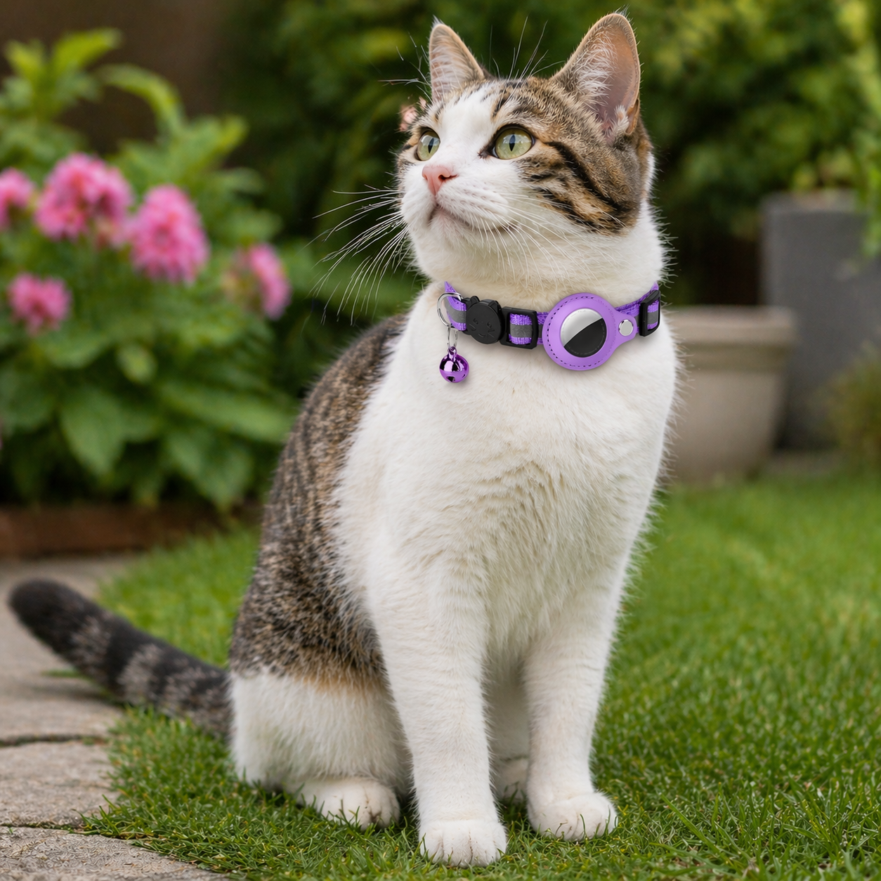 AirTag Cat Collar | Adjustable, Reflective, Bell | Tracker Holder
