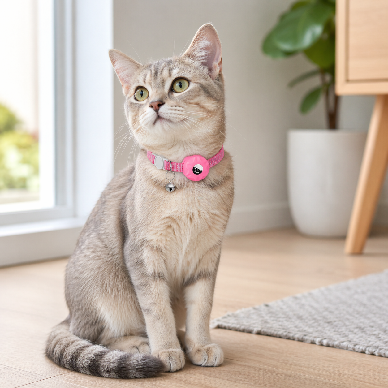 Pet Tracker Collar | Android Find My Device, Waterproof | Cat Dog