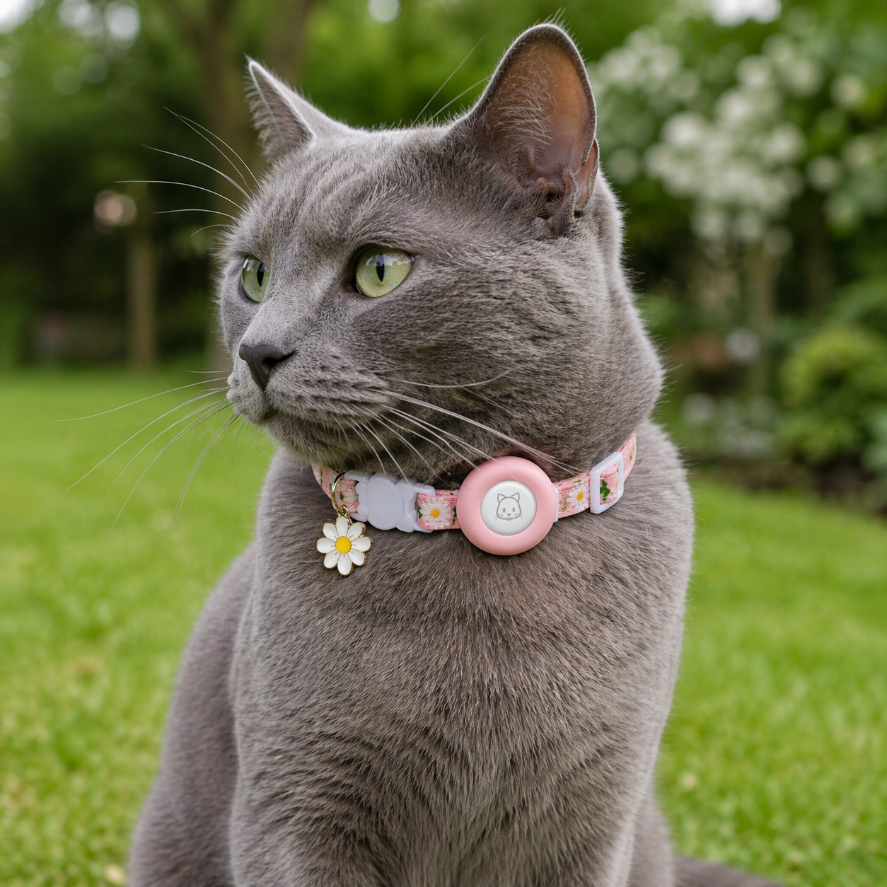 Cat AirTag Collar | Breakaway Tracker Holder, Reflective Bell