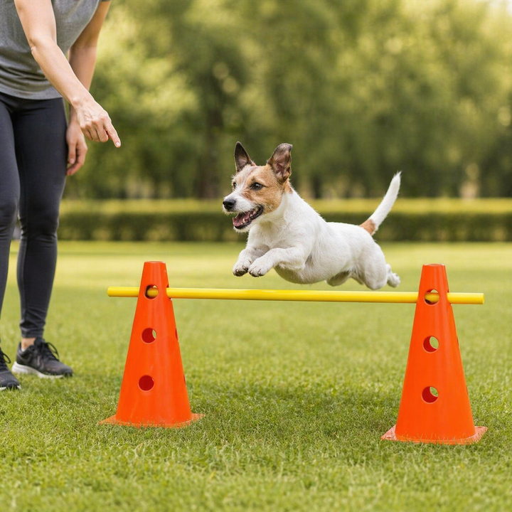 Dog Agility Set | Adjustable Jump Bars, Training Cones Kit