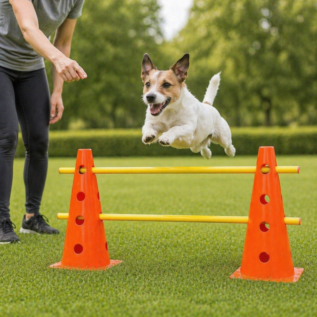 Dog Agility Set | Adjustable Jump Bars, Training Cones Kit