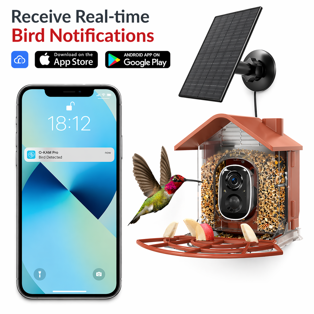 Bird Feeder Camera | Solar Powered WiFi Smart Feeder, AI Bird ID HD