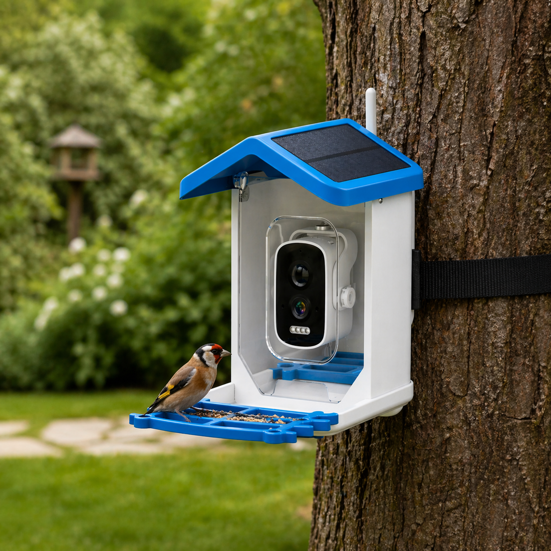 Bird Feeder Camera | 4MP WiFi Smart Feeder, Solar Powered Night Vision