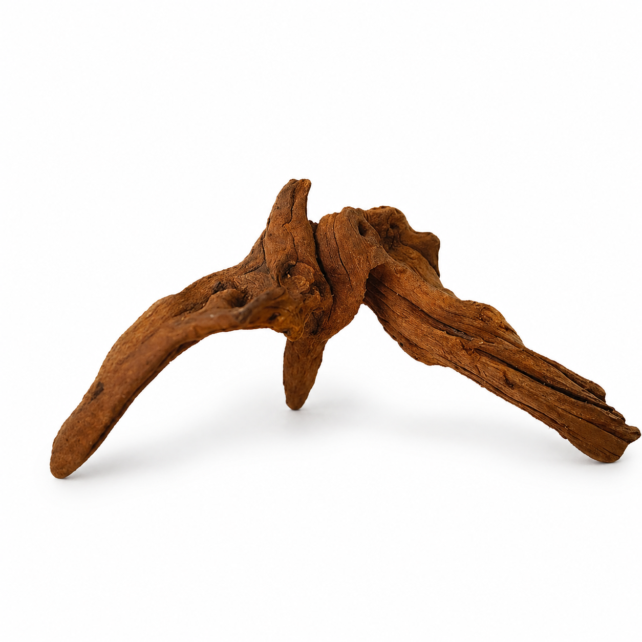 Aquarium Driftwood | Natural Fish Tank Decor, Aquascaping Wood