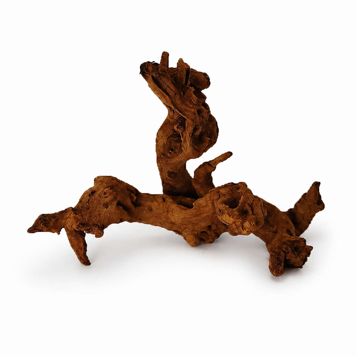 Aquarium Driftwood | Natural Fish Tank Decor, Aquascaping Wood