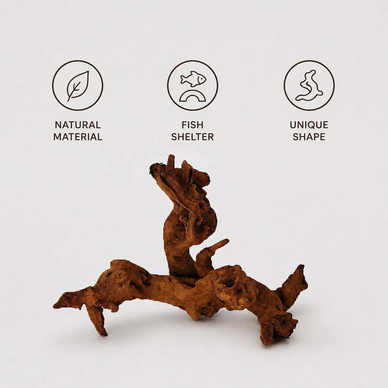 Aquarium Driftwood | Natural Fish Tank Decor, Aquascaping Wood