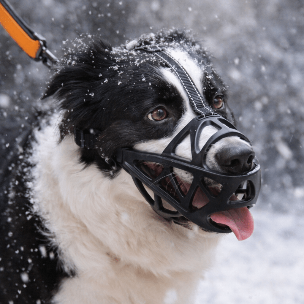 Dog Muzzle | Soft & Breathable, Anti-Bite | Zelda Gentle Fit