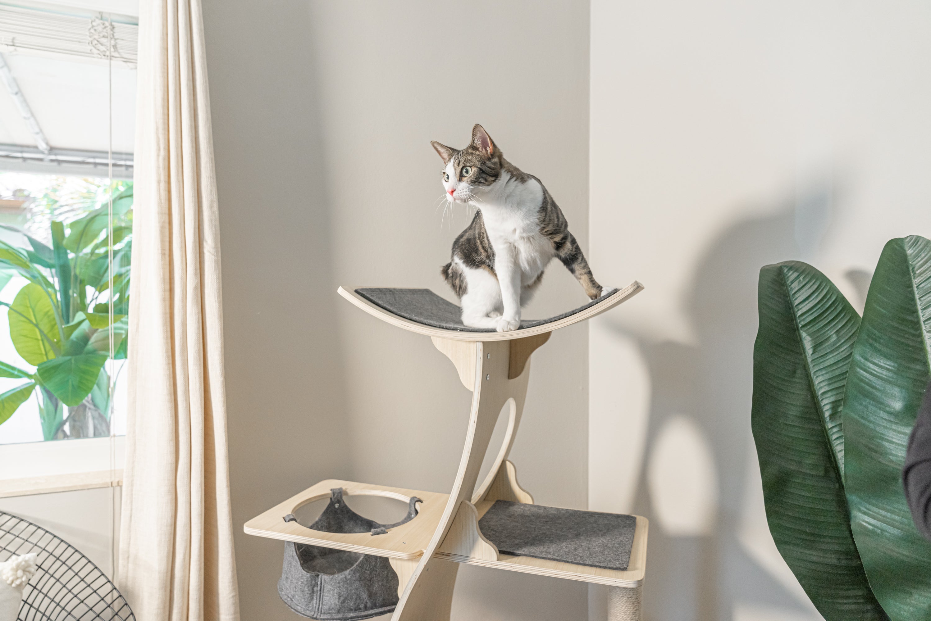 Eira | Cat Tree | Modern 5-Level Condo with Hammock & Scratching Post