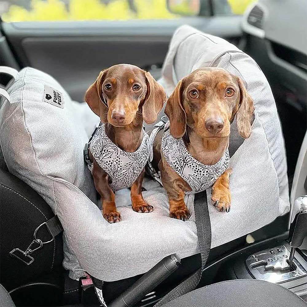 Wren | Pet Seat Bed for Dogs | Safety Belt, Non-Slip, Washable