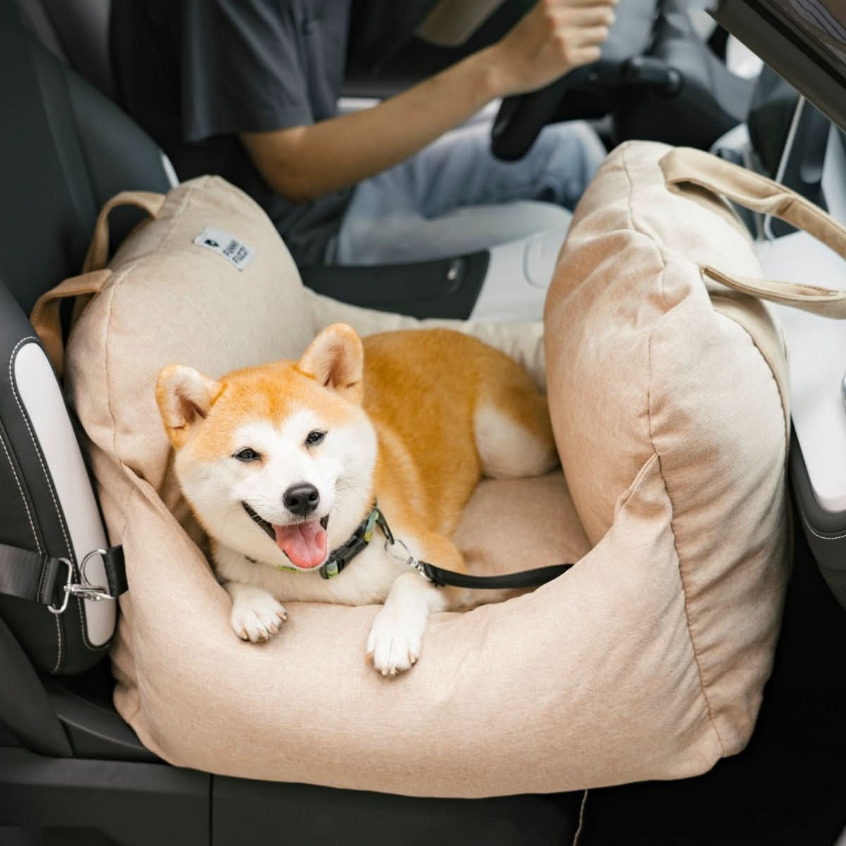 Wren | Pet Seat Bed for Dogs | Safety Belt, Non-Slip, Washable