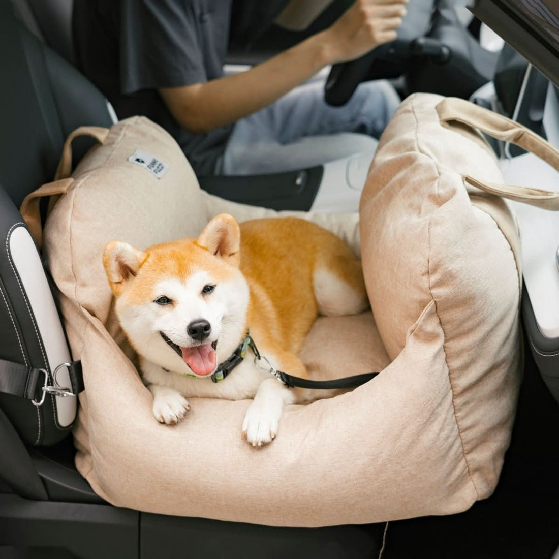 Wren | Pet Seat Bed for Dogs | Safety Belt, Non-Slip, Washable