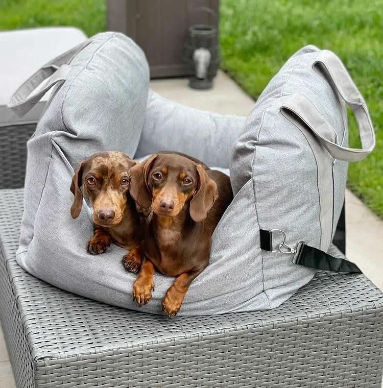 Wren | Pet Seat Bed for Dogs | Safety Belt, Non-Slip, Washable