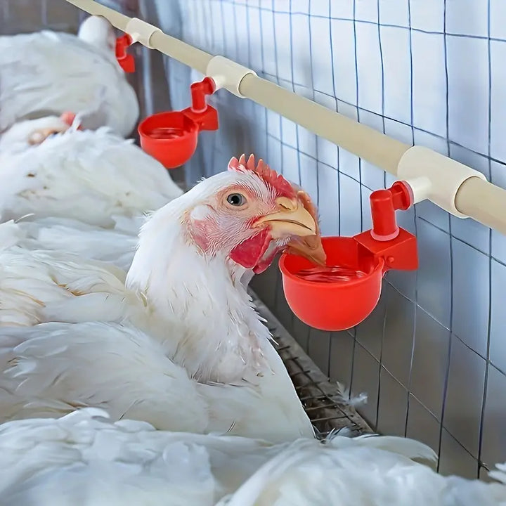 AquaFlow - Smart Drinking Water System - Stress-Free Chicken Care