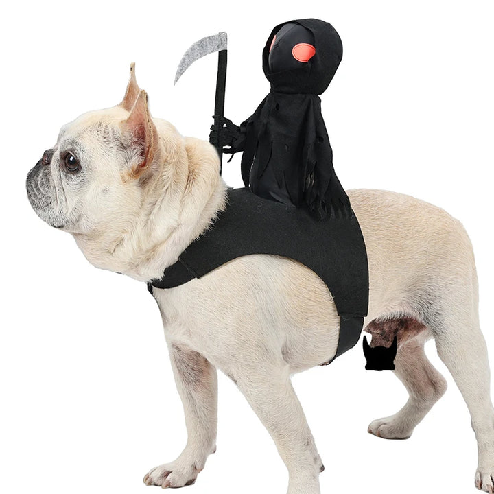 Talia | Halloween Pet Costume | Dark Knight, Dogs & Cats | Black, S-L