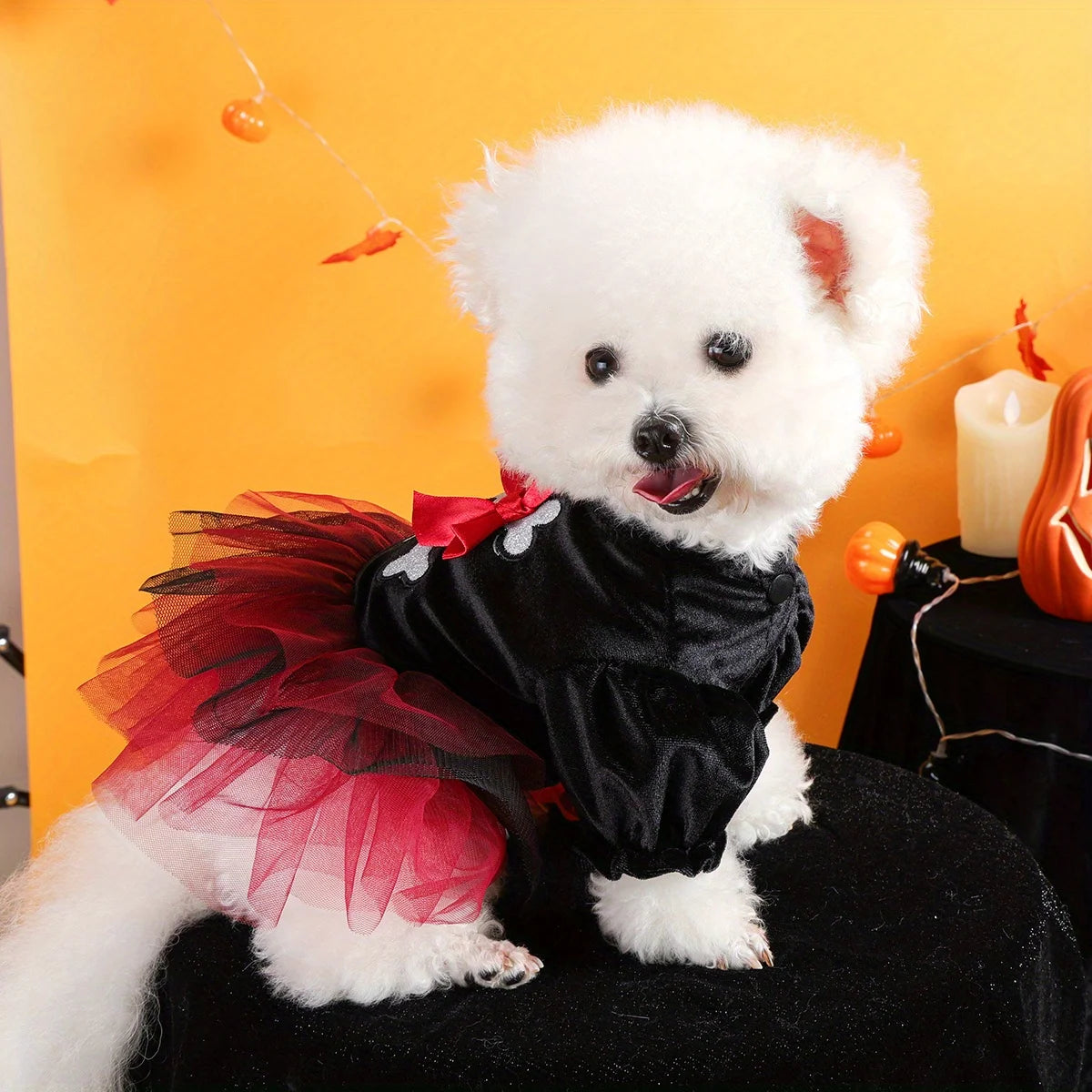 Black Skull Dress for Dogs & Cats - Halloween Pet Costume | XS–XL