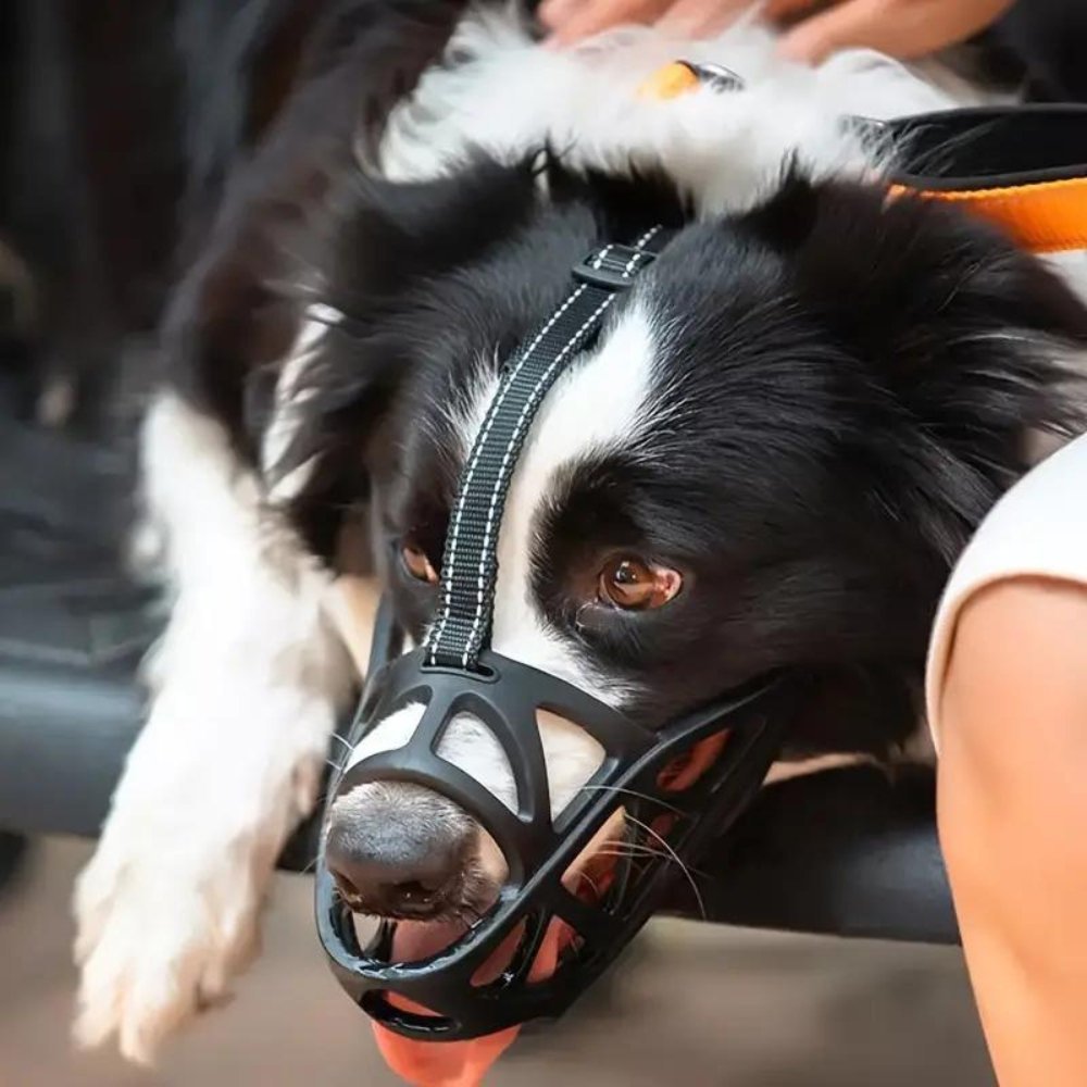 Dog Muzzle | Soft & Breathable, Anti-Bite | Zelda Gentle Fit