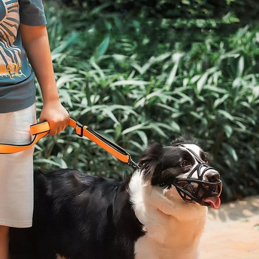Dog Muzzle | Soft & Breathable, Anti-Bite | Zelda Gentle Fit