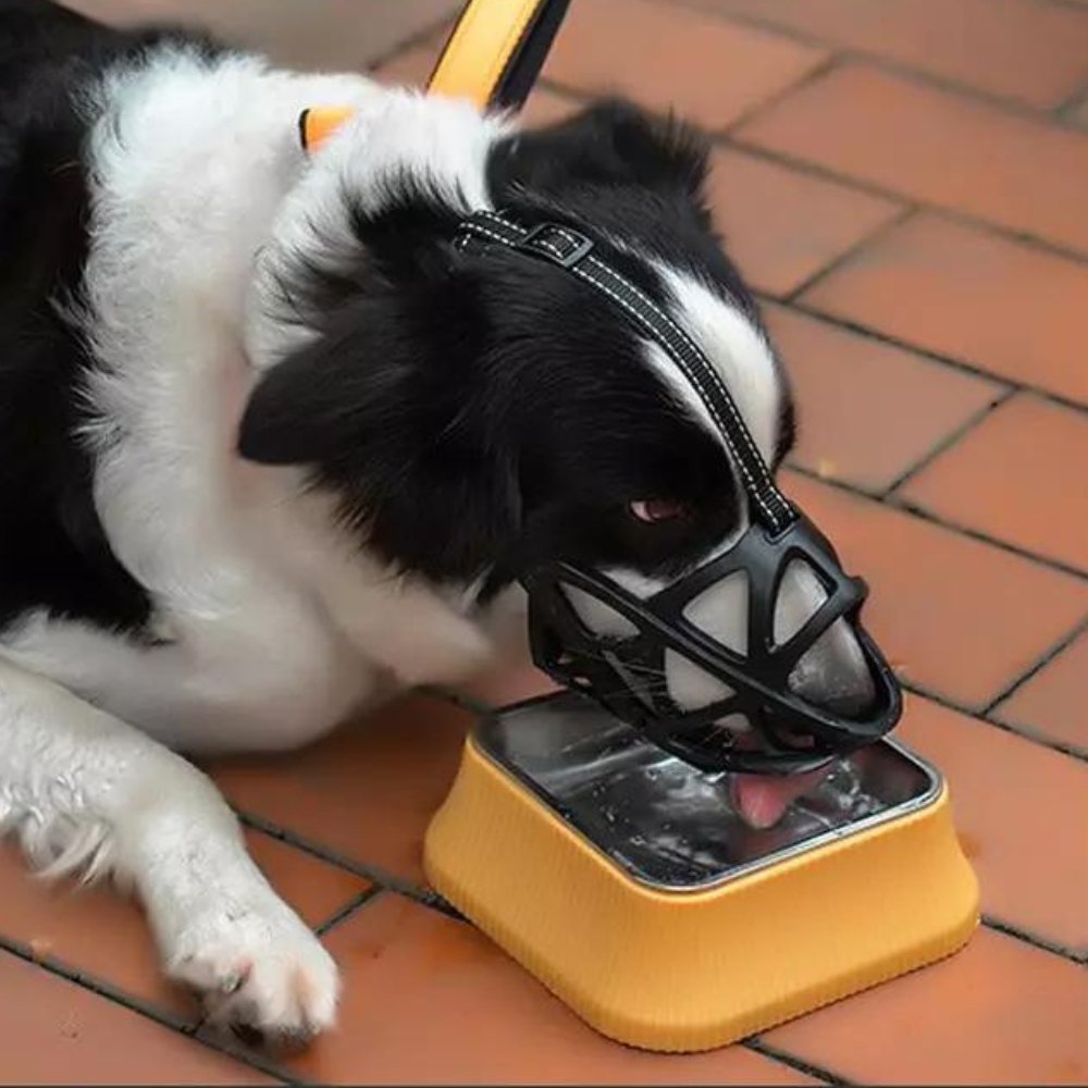 Dog Muzzle | Soft & Breathable, Anti-Bite | Zelda Gentle Fit