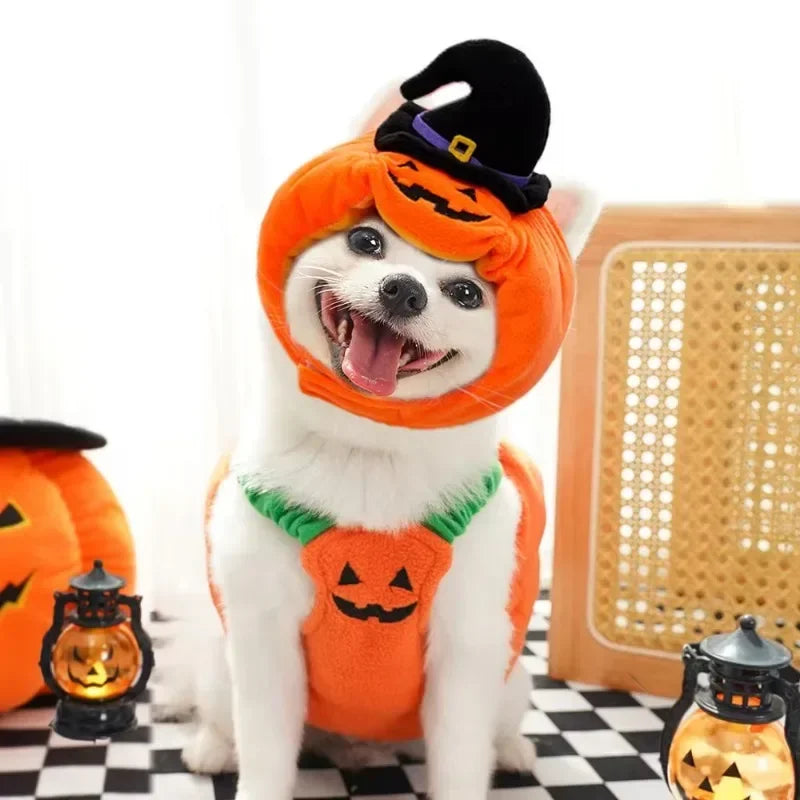 Pumpkin Dog & Cat Outfit - Halloween Pet Costume | XS–L