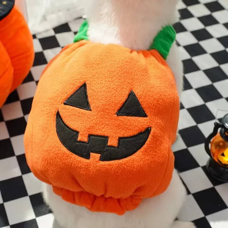 Pumpkin Dog & Cat Outfit - Halloween Pet Costume | XS–L
