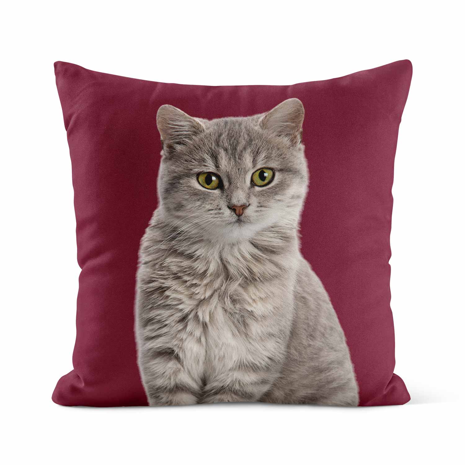Kira | Personalized Pet Parent Gift Cushion | Custom Cat Photo | 45x45cm