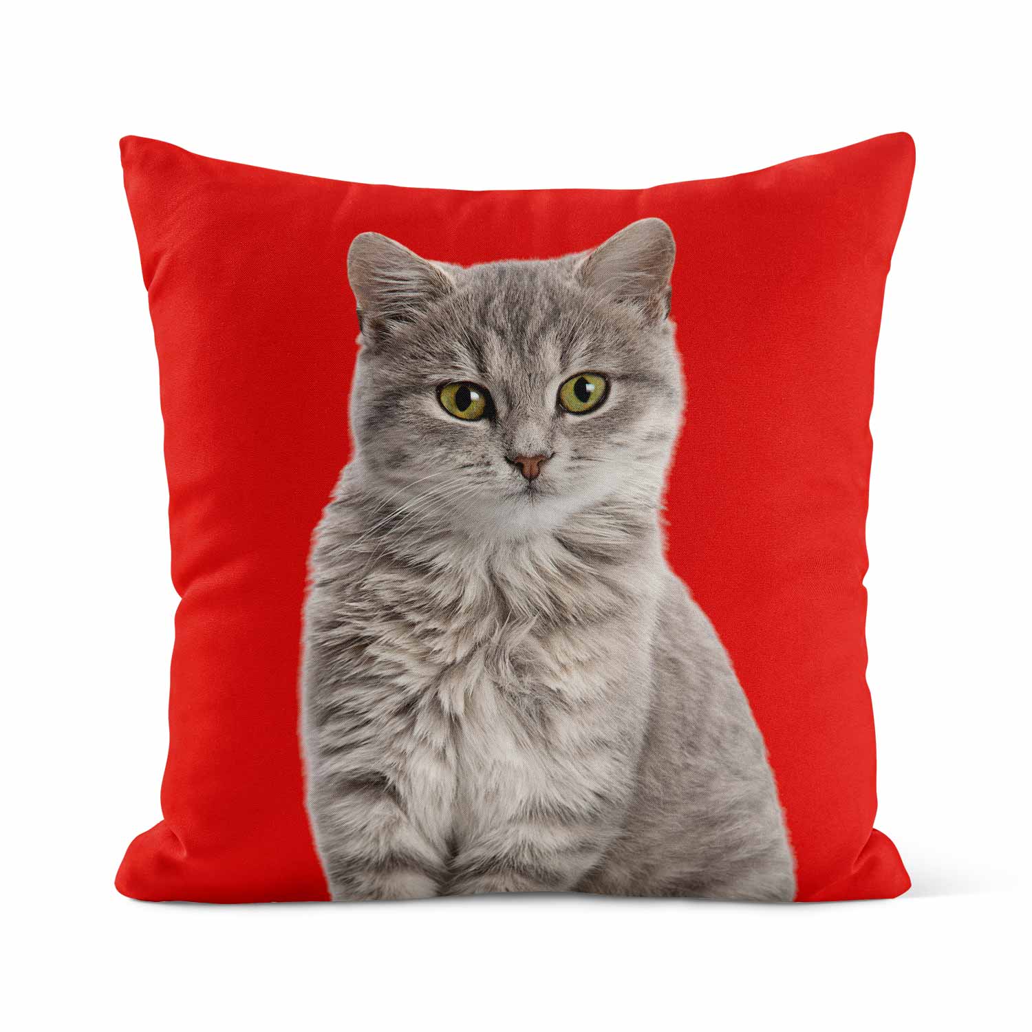 Kira | Personalized Pet Parent Gift Cushion | Custom Cat Photo | 45x45cm