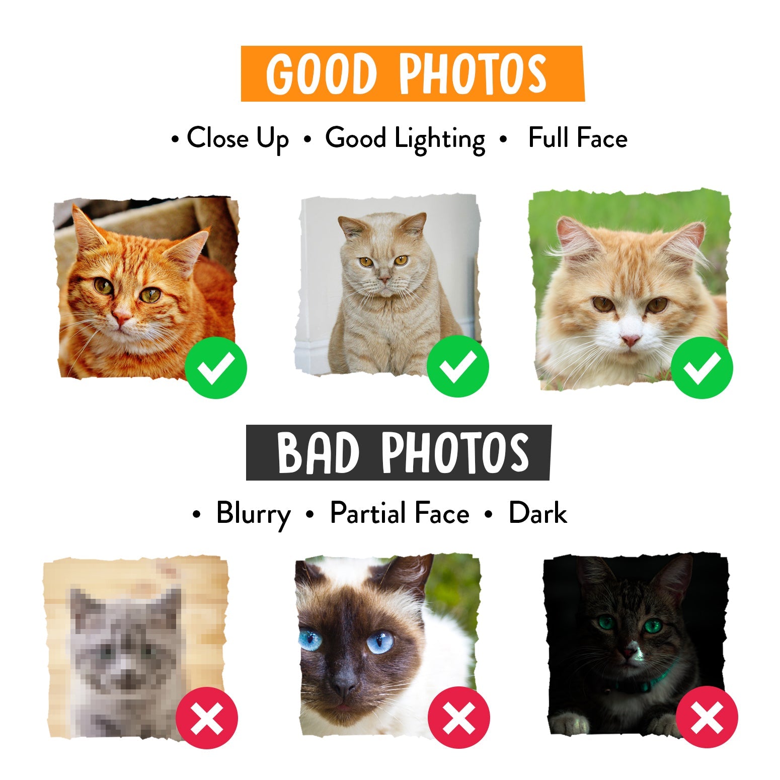 Kira | Personalized Pet Parent Gift Cushion | Custom Cat Photo | 45x45cm