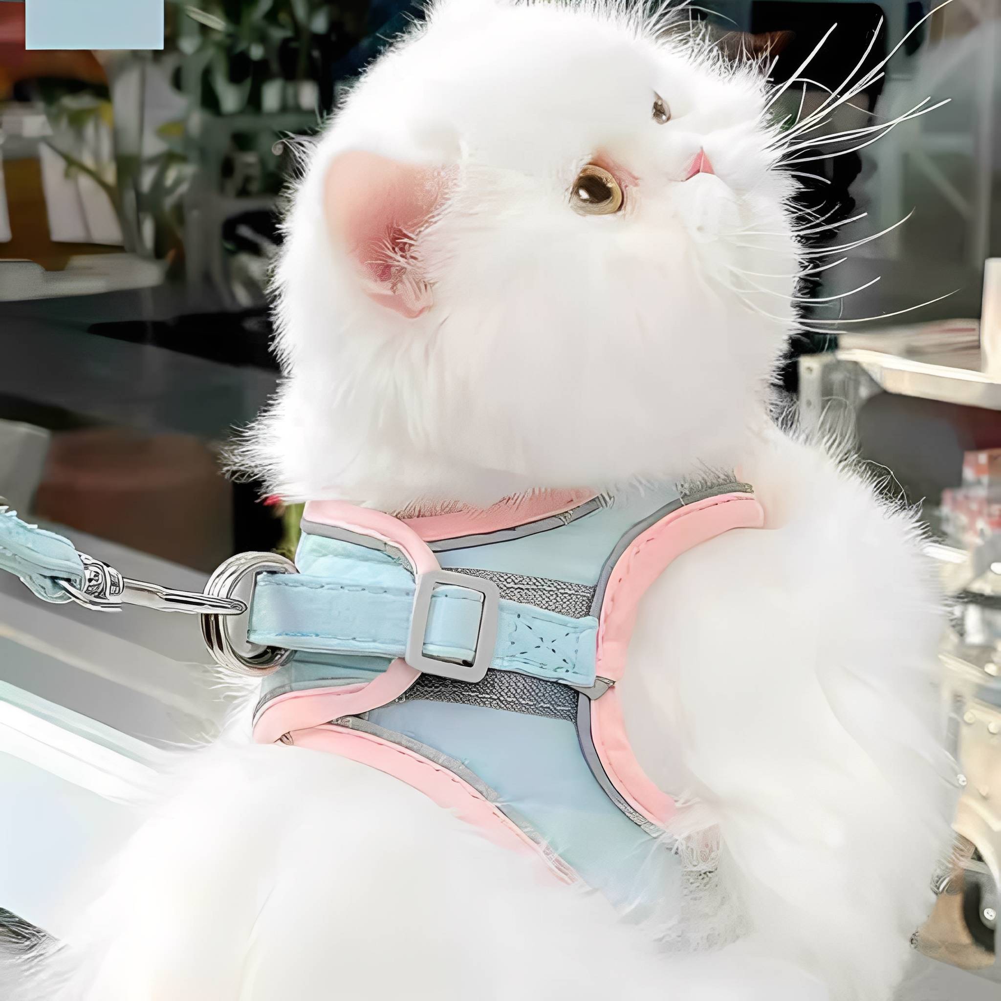 Valentina | Cat Harness | Adjustable Safety Harness for Cats | Escape-Proof
