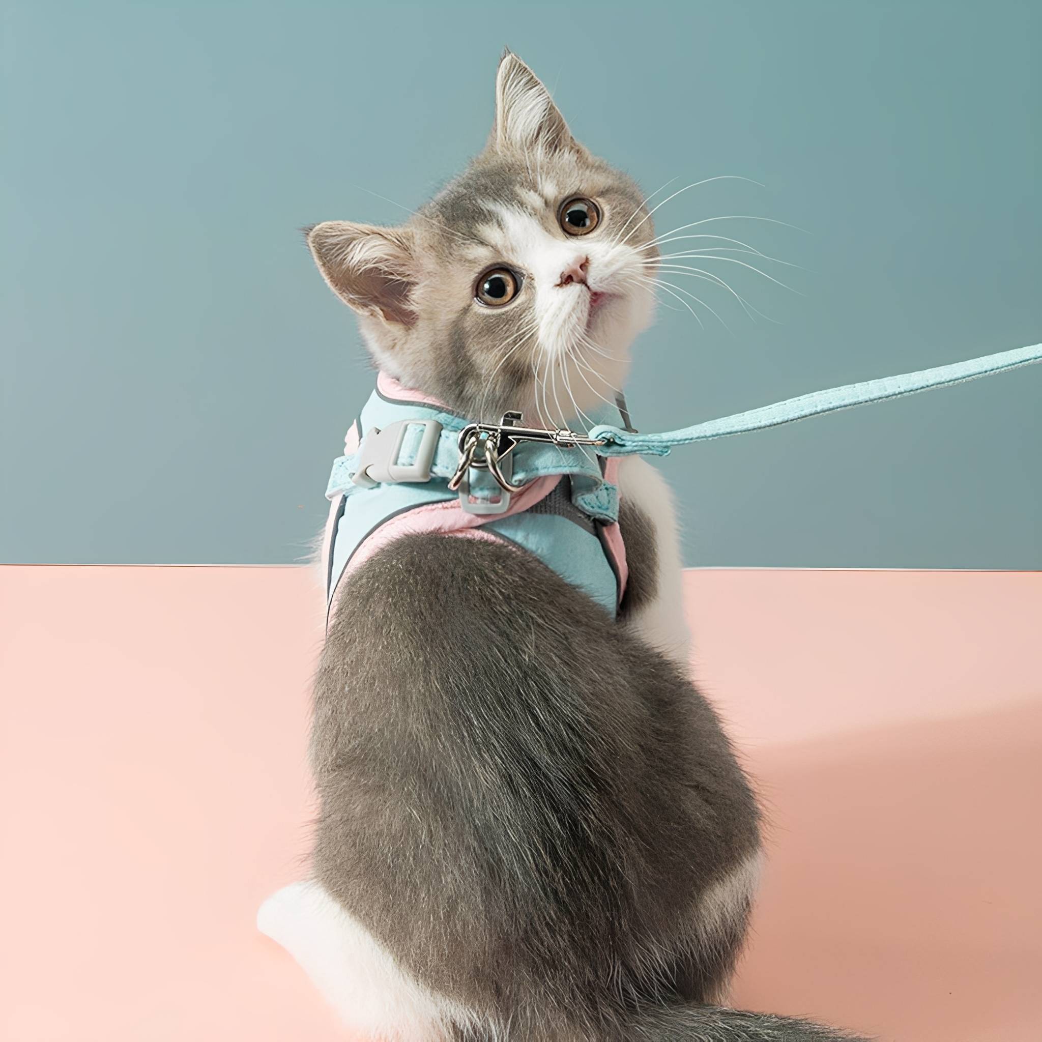 Valentina | Cat Harness | Adjustable Safety Harness for Cats | Escape-Proof