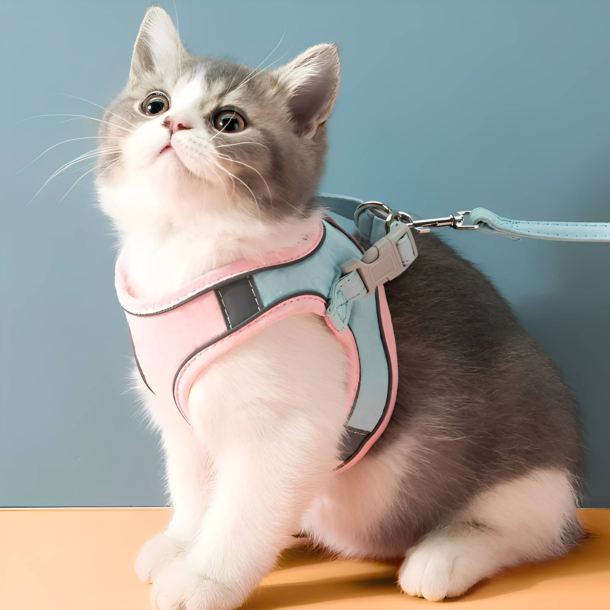 Valentina | Cat Harness | Adjustable Safety Harness for Cats | Escape-Proof