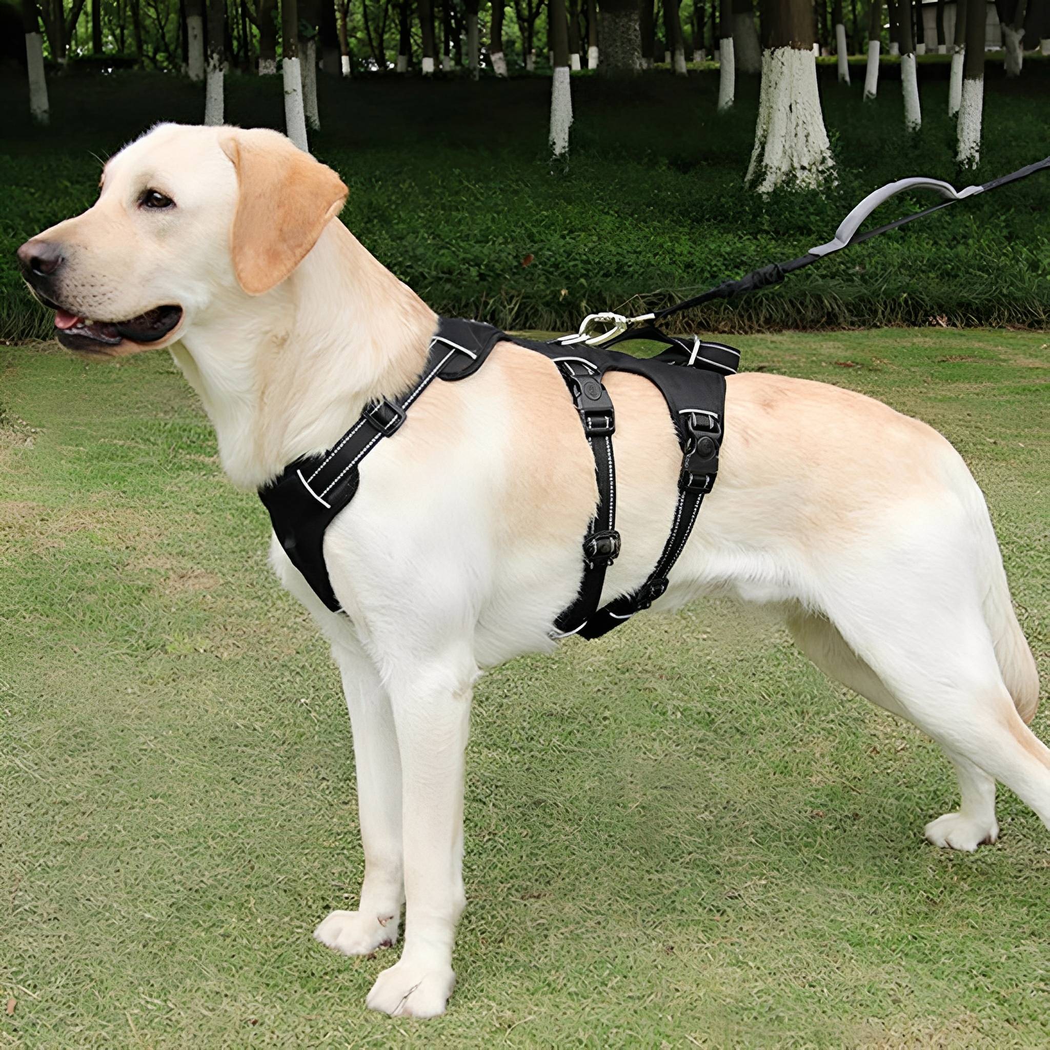 Dog Harness | No Pull, Adjustable | Escape Proof, Reflective Pet Vest