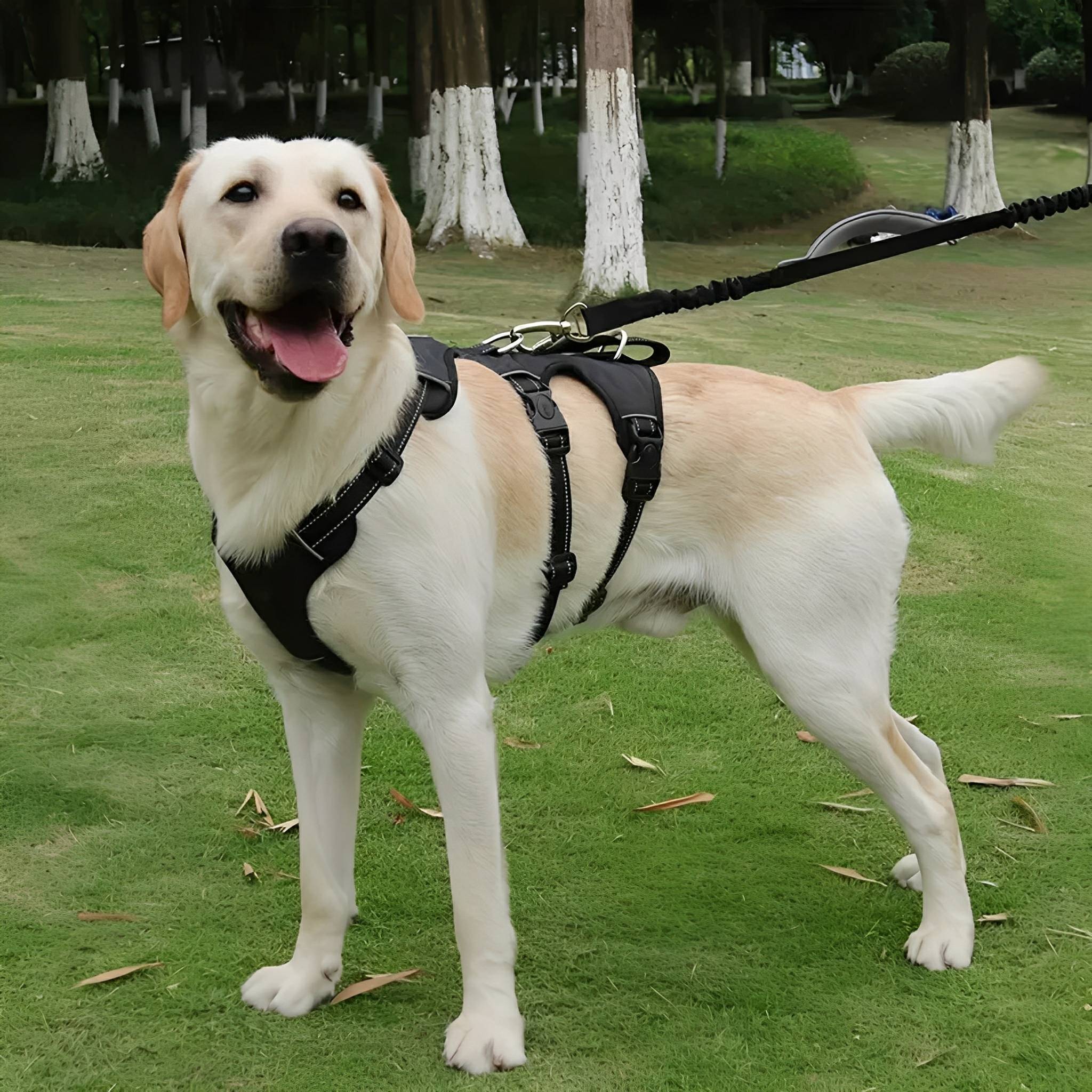 Dog Harness | No Pull, Adjustable | Escape Proof, Reflective Pet Vest