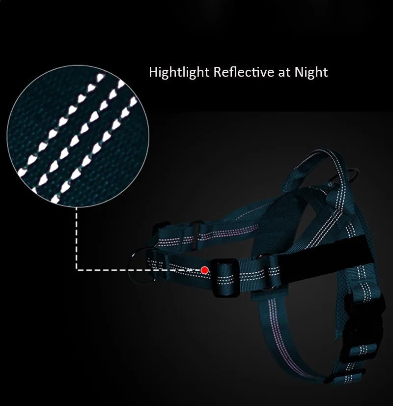 Dahlia | Dog Harness | Reflective, Adjustable & Personalized | No Chafe, Perfect Fit