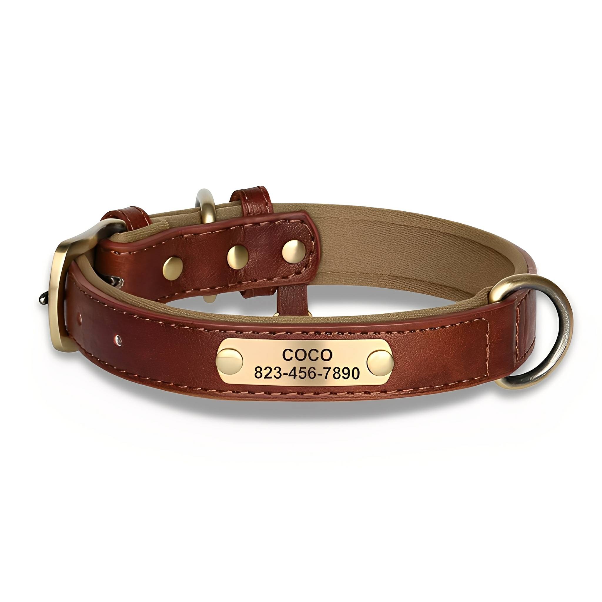 Cassia | Personalized Pet Parent Gift | Engraved Leather Dog Collar | XS to XL