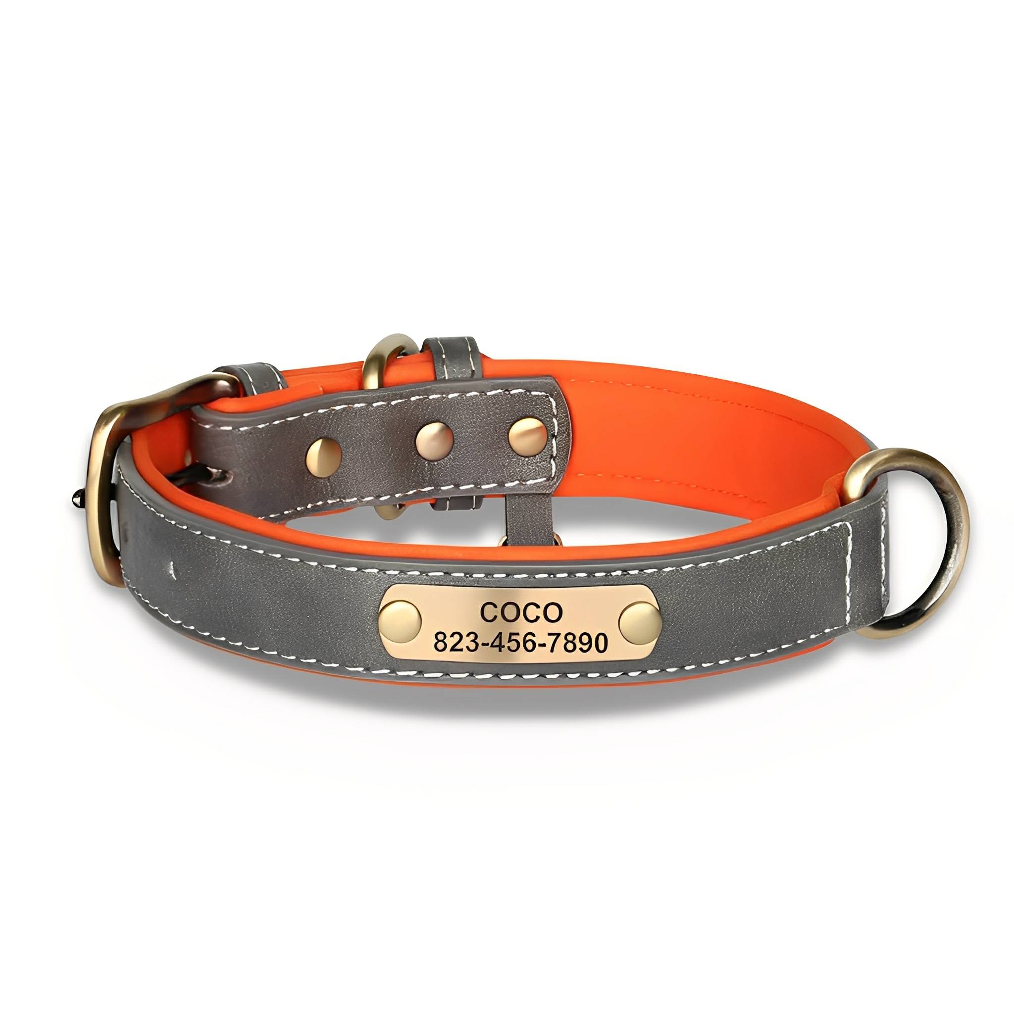 Cassia | Personalized Pet Parent Gift | Engraved Leather Dog Collar | XS to XL