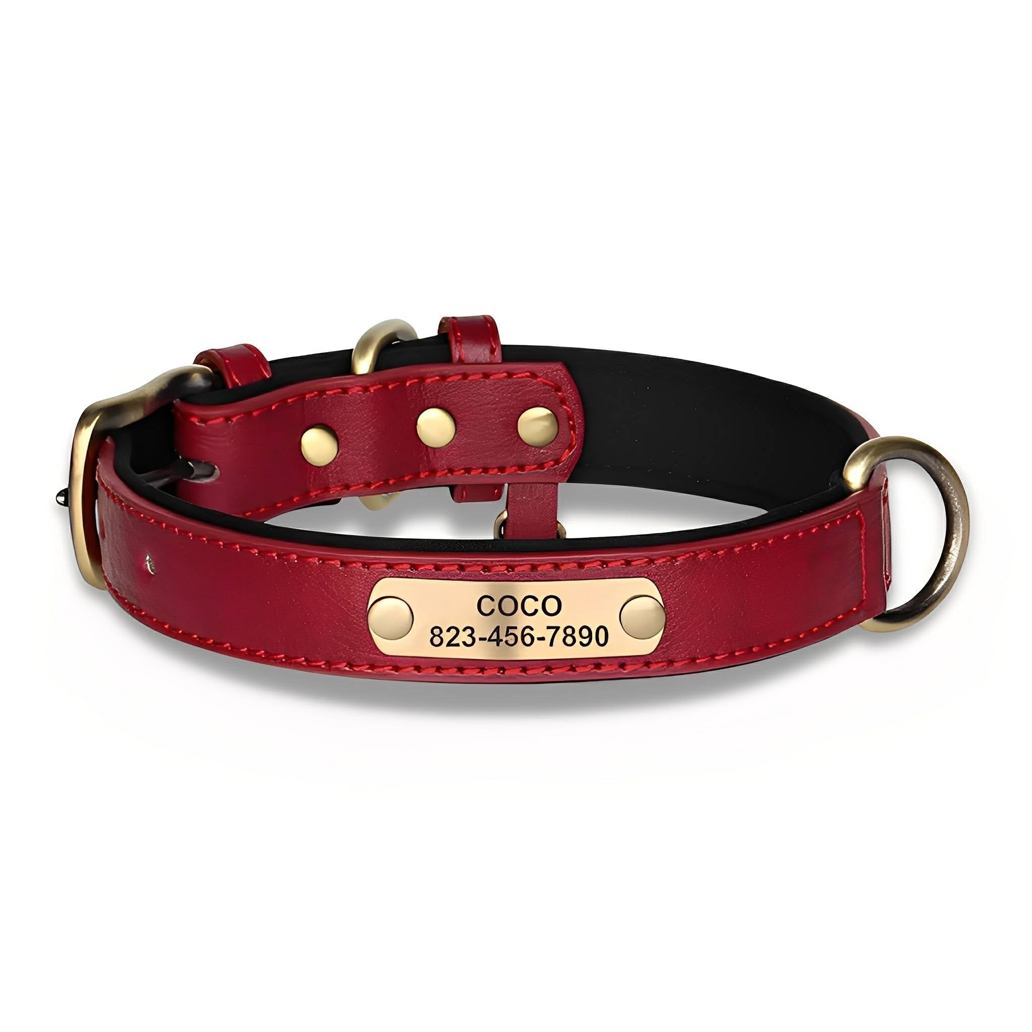 Cassia | Personalized Pet Parent Gift | Engraved Leather Dog Collar | XS to XL