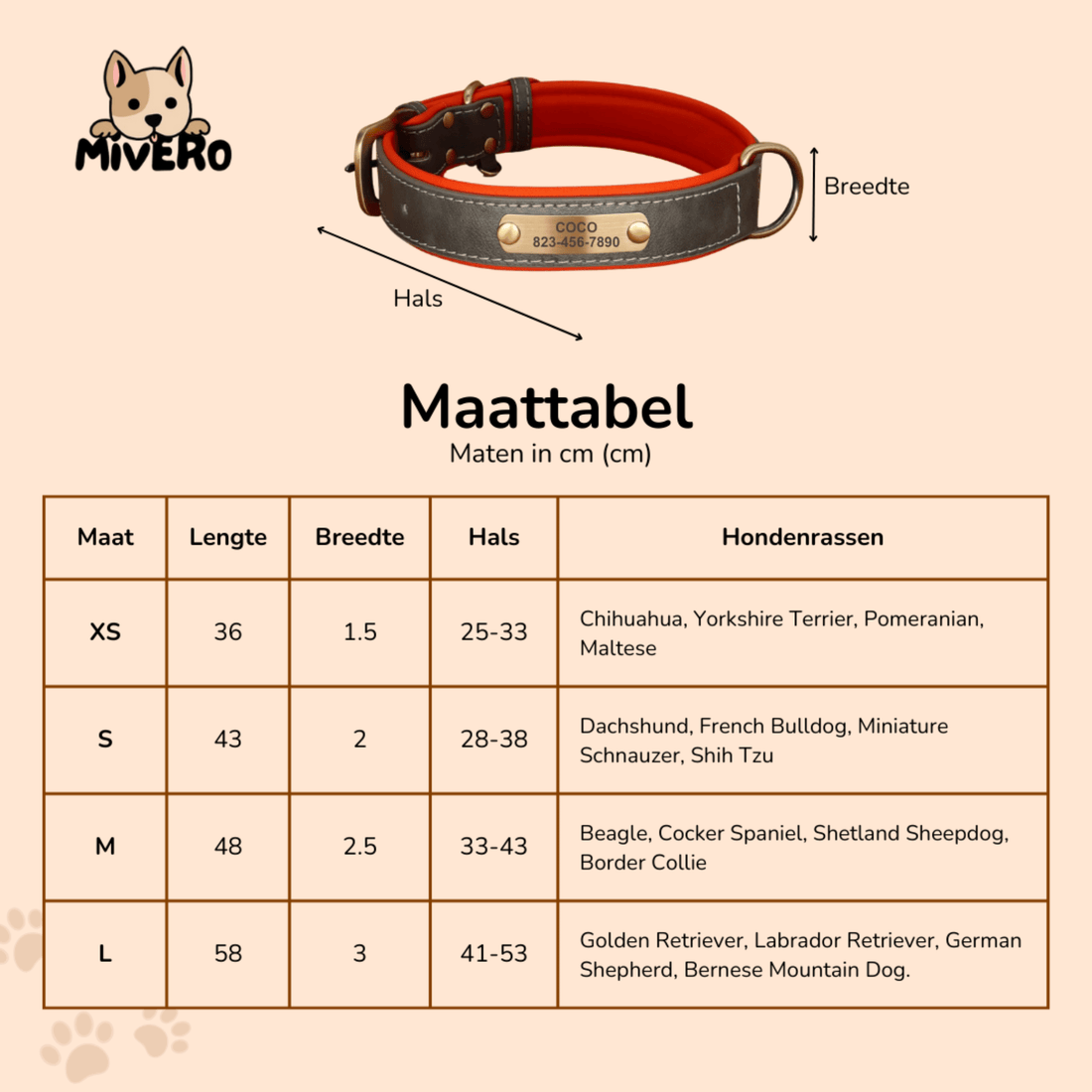 Cassia | Personalized Pet Parent Gift | Engraved Leather Dog Collar | XS to XL