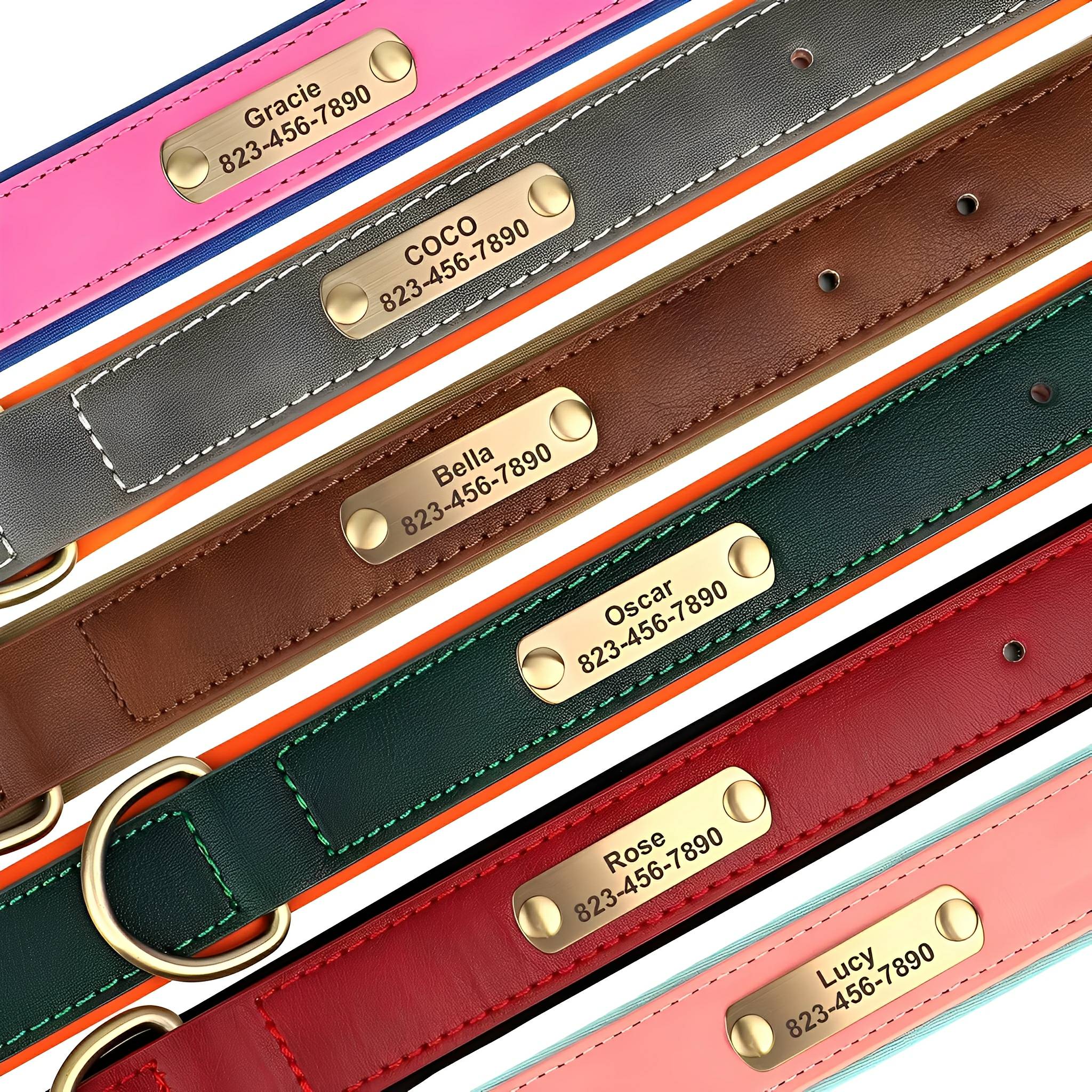 Cassia | Personalized Pet Parent Gift | Engraved Leather Dog Collar | XS to XL