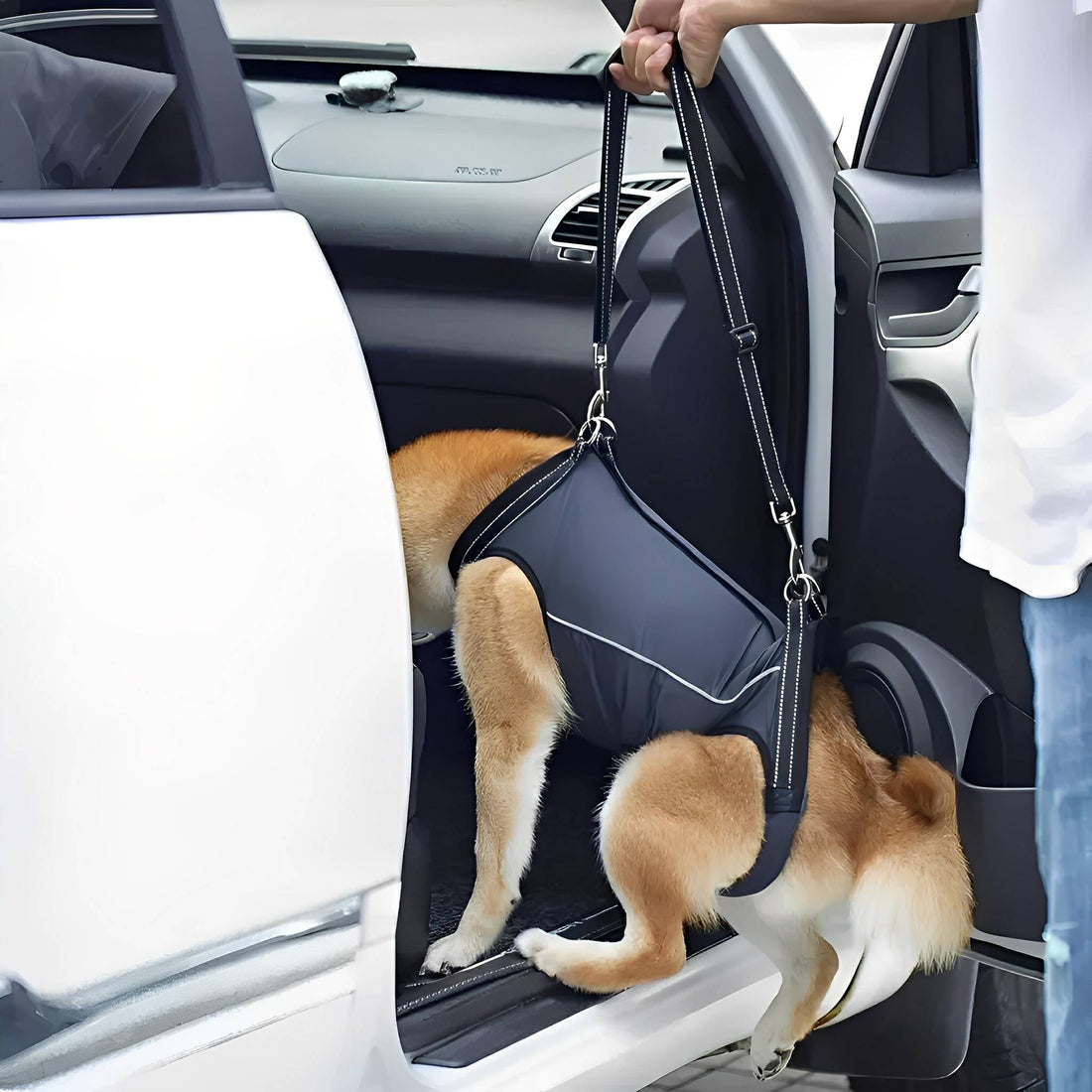 Yasmin | Dog Lift Harness | Support & Mobility Aid | Rear & Full Body