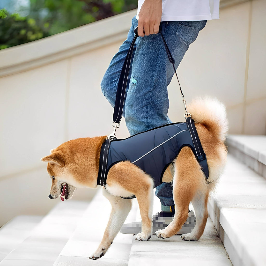Yasmin | Dog Lift Harness | Support & Mobility Aid | Rear & Full Body