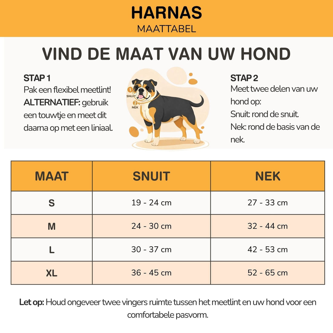 Dog Head Harness | Anti-Pull, Padded | Walk Control | Wynne