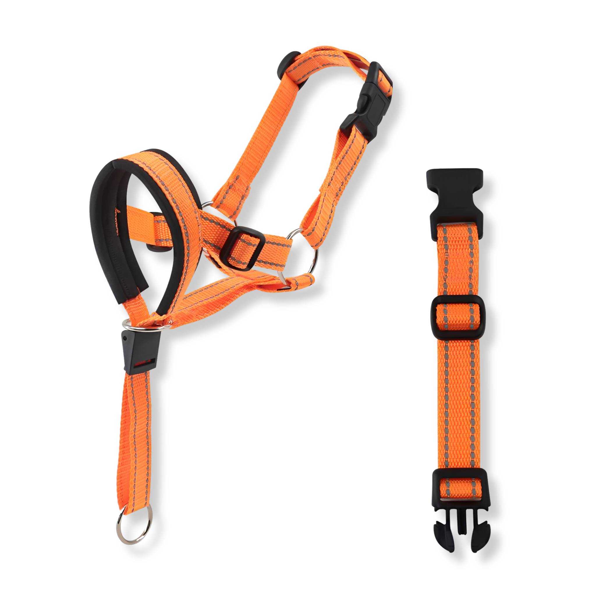Dog Head Collar | No Pull, Padded Nose Loop | Adjustable Control