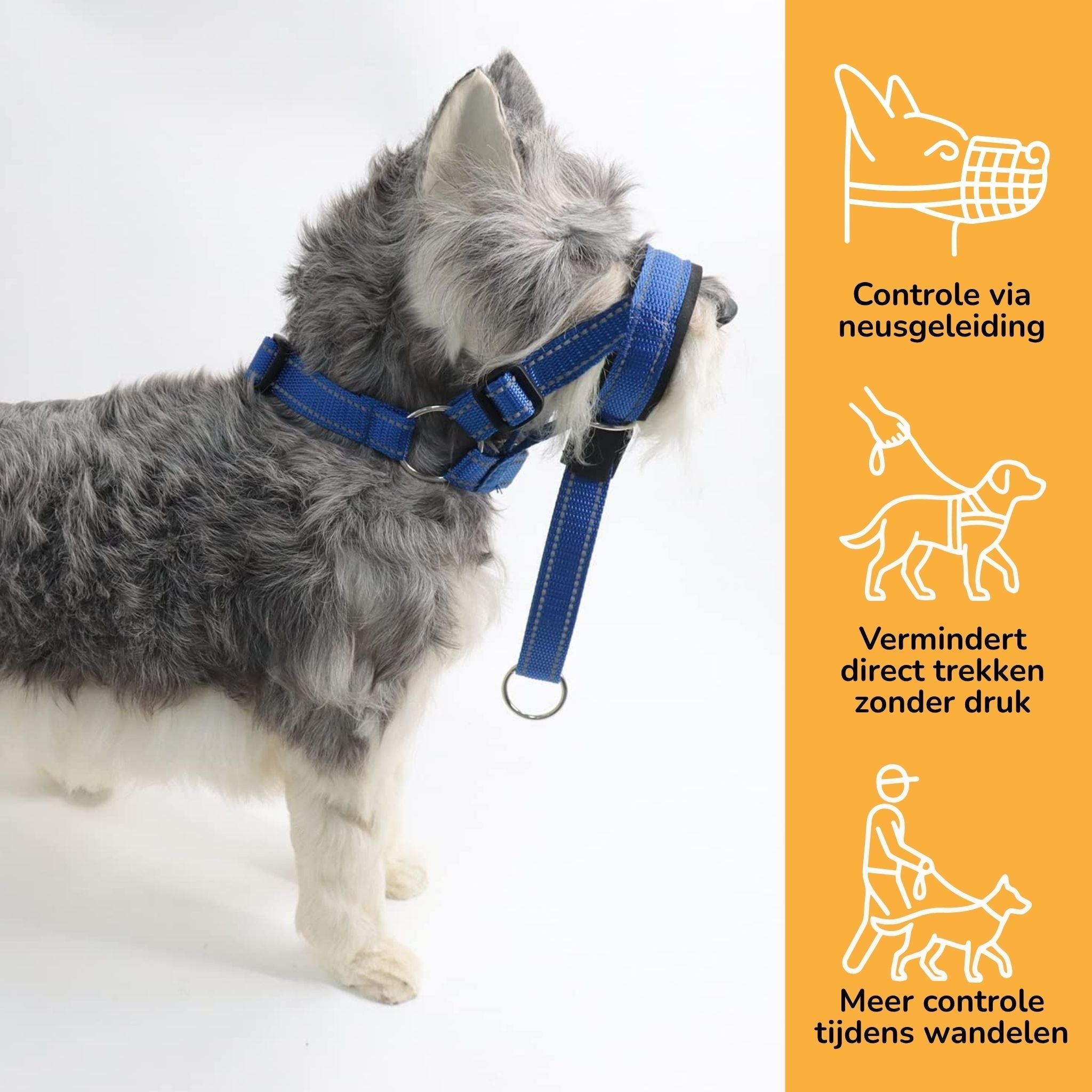 Dog Head Harness | Anti-Pull, Padded | Walk Control | Wynne